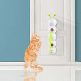 Interactive Cat Teaser Toy