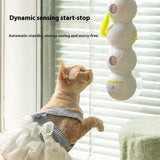 Interactive Cat Teaser Toy