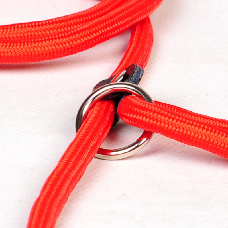 HOOPET Pet Products Golden Teddy Dog Traction Rope Chain Large Dog Collar P Dog Leash Comfortable Nylon Material 5Colors