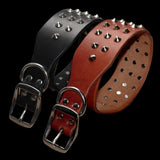 Cool Rivets Studded Best Genuine Leather Pet Dog Collars For Small Medium Large Dogs Black Brown Boxer Bulldog Pitbull XS S M L