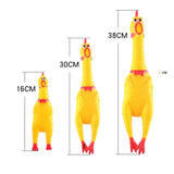 Pet dog toy screaming chicken screaming chicken dog molars yellow rubber chicken dog chew toy durable and funny buzz