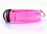LED light Dog Leash Glowing Night Luminous Charge Collar Flash Light Leash Accessorie Decoration Dog Necklace 3 Modes Pet Rope Night Safety Adjustable Nylon Lead for Small Medium Large Dogs Light Up CollarDogs Luminous Fluorescent Collars Pet Supplies