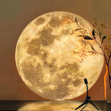 Galaxy Projector 2 In 1 Earth Moon Projection Lamp INS Photography Background Atmosphere Night Light For Bedroom Decor