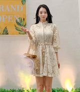 Women's Lace Slim Fit Designer Dress