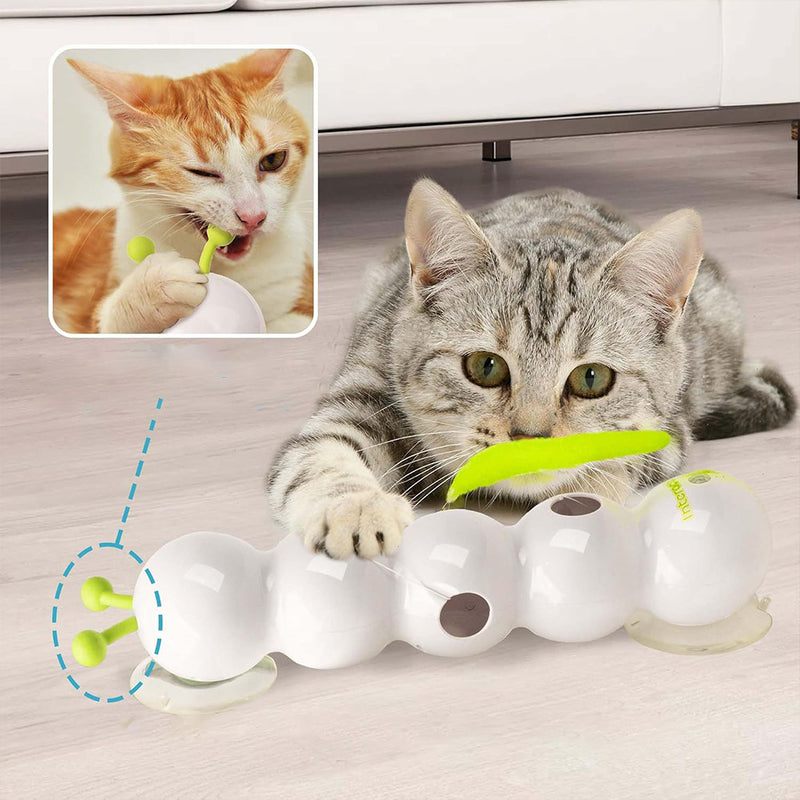 #TeasingCatToy