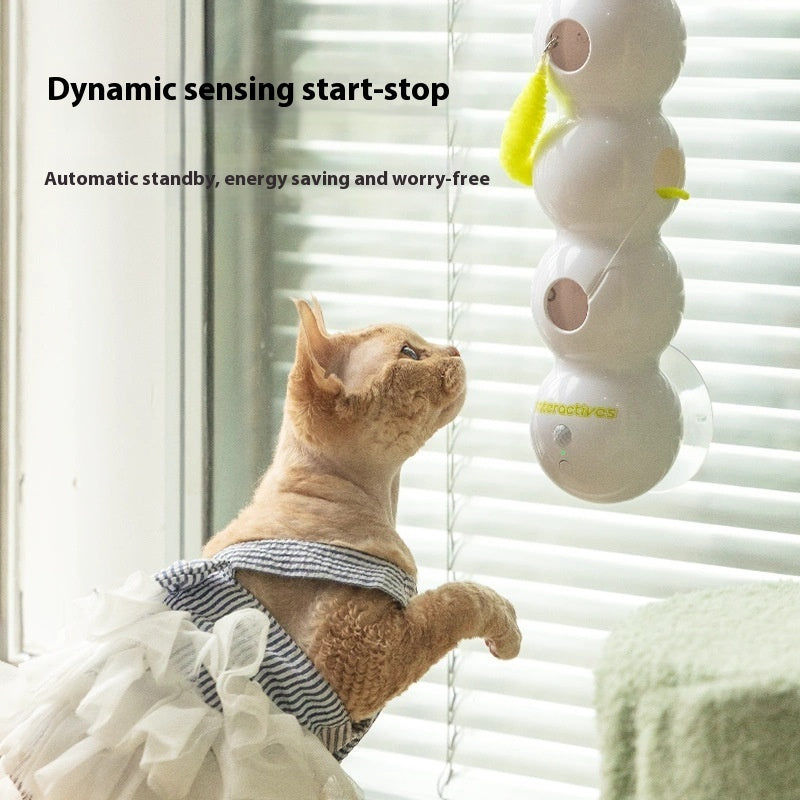 #TeasingCatToy