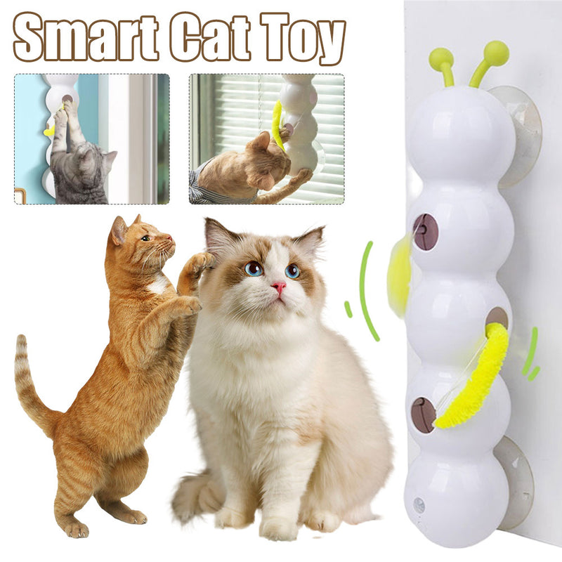 #TeasingCatToy