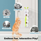#TeasingCatToy