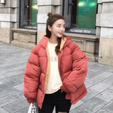 Fashion Short Cotton Coat Ladies Small Padded Jacket