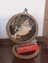 Hammock Cat Litter For Pets